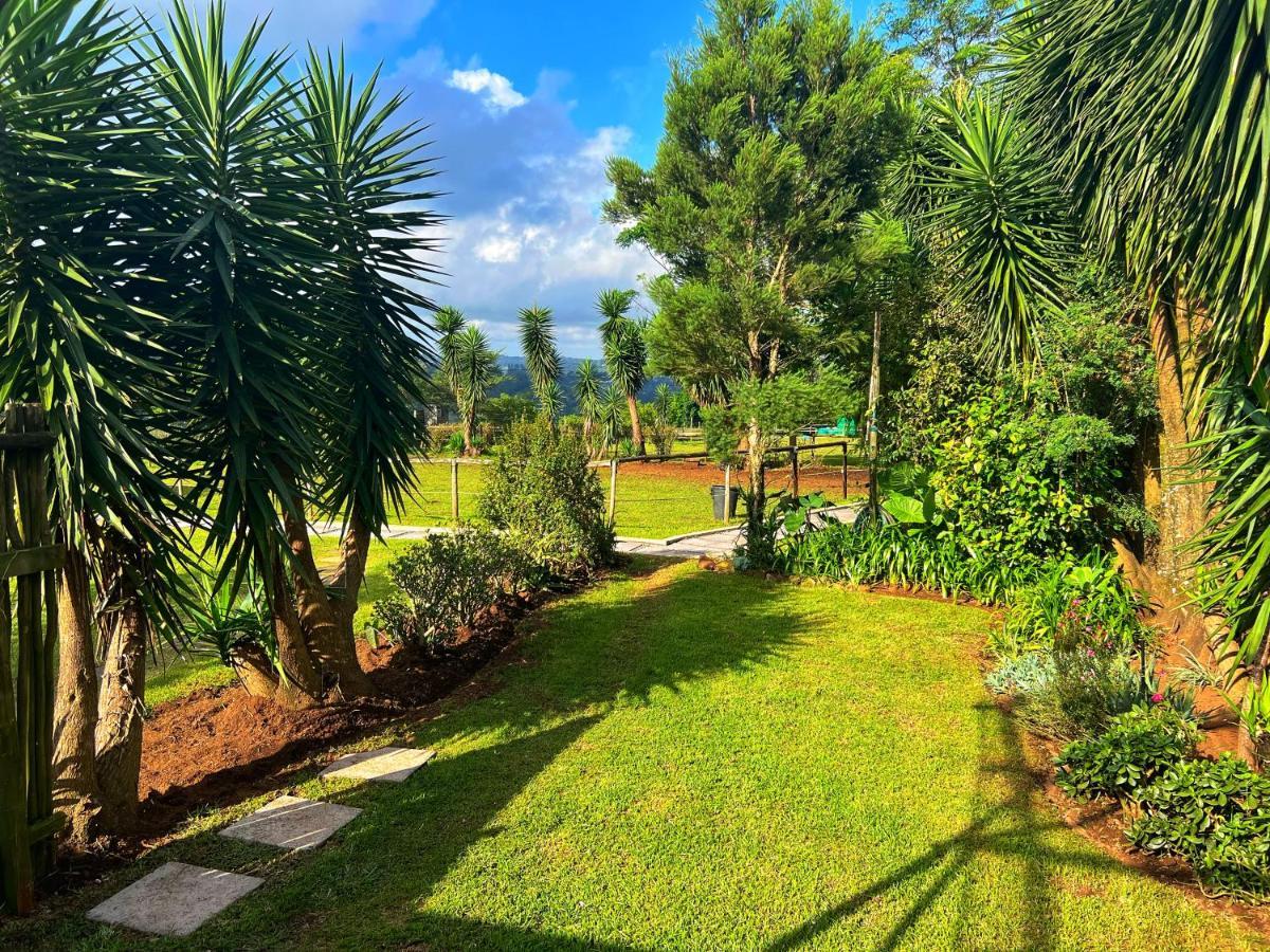 Fever Tree Guesthouse Hillcrest Ngoại thất bức ảnh