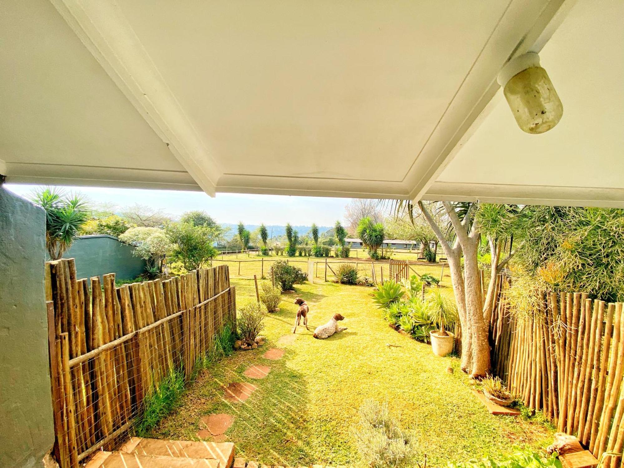 Fever Tree Guesthouse Hillcrest Ngoại thất bức ảnh